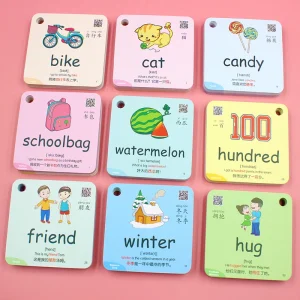 Montessori Educational Flash Cards
